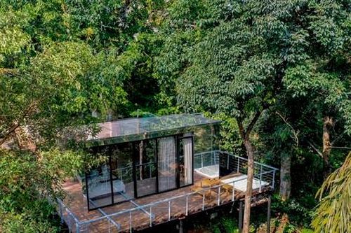Khám phá nhà kính độc lạ giữa núi rừng