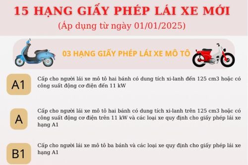 15 hạng giấy phép lái xe mới từ 01/01/2025