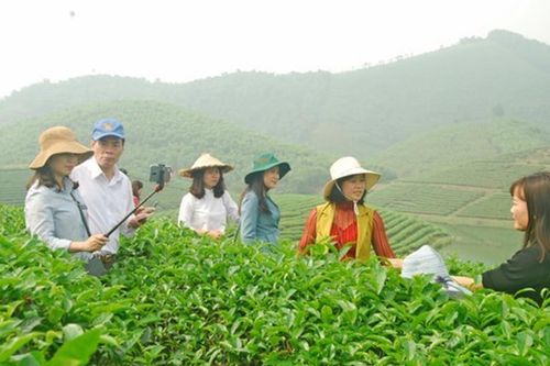 Sở Du lịch cập nhật kiến thức cho 70 hướng dẫn viên nội địa và quốc tế