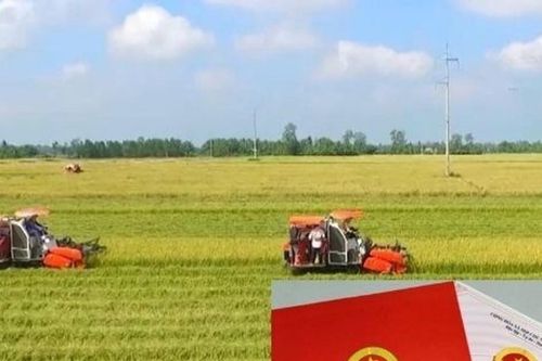 Quy định về bồi thường khi Nhà nước thu hồi đất nông nghiệp của hộ gia đình, cá nhân
