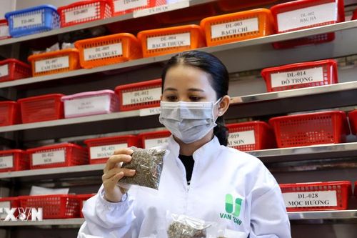Ngăn chặn kịp thời các hành vi vi phạm pháp luật trong lĩnh vực y học cổ truyền