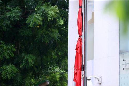 Nhiều hoạt động tình nguyện của tuổi trẻ Thủ đô thiết thực hướng về Lễ Quốc tang