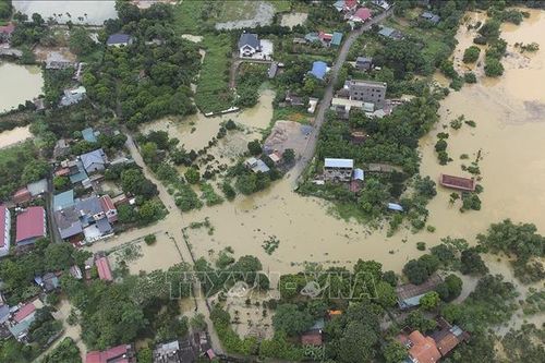 Nhiều diện tích cây trồng bị ngập sâu sau mưa lớn