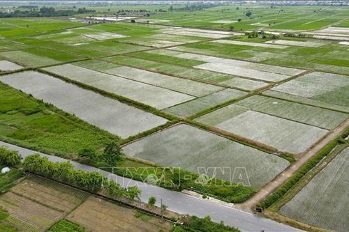 Thái Bình, Tuyên Quang khẩn trương khắc phục thiệt hại do bão số 2