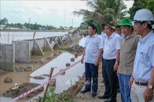 Đẩy nhanh tiến độ xây kè chống sạt lở sông Ô Môn