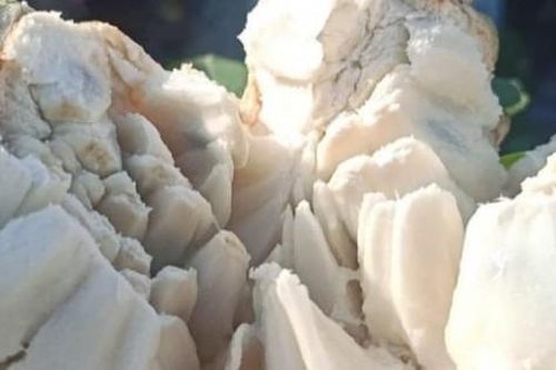 Loại quả một thời từng 'thất sủng', nay giá cao 'ngất' vẫn đắt hàng