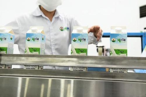 Xuất hiện khoản vay 'chưa từng có' tại Mộc Châu Milk