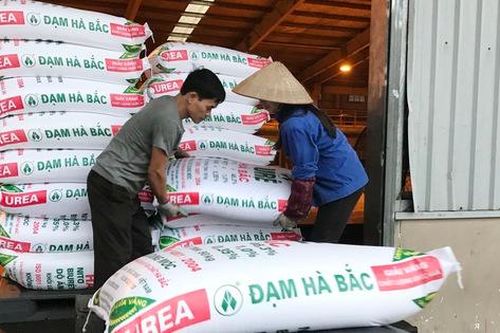 Đạm Hà Bắc tiếp tục thua lỗ, nợ vay tài chính gần 3.000 tỷ đồng