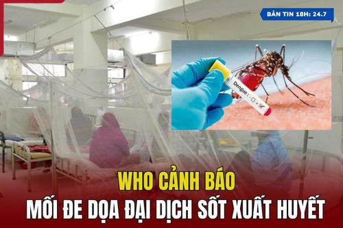 WHO cảnh báo mối đe dọa đại dịch sốt xuất huyết