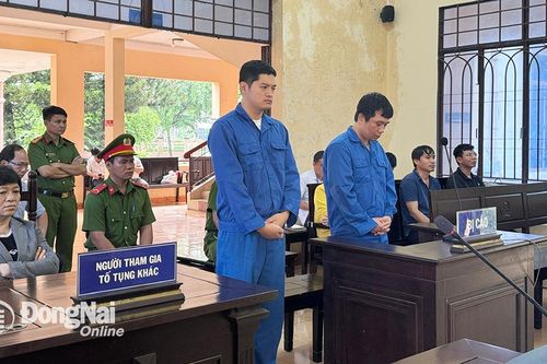 Bi kịch vì bất cẩn khi lái xe