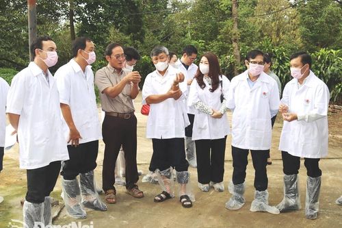 Phó bí thư thường trực Tỉnh ủy Hồ Thanh Sơn kiểm tra chăn nuôi tại thành phố Long Khánh