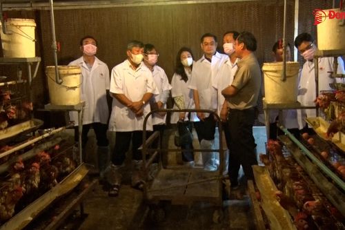 89% cơ sở chăn nuôi tại Long Khánh thực hiện ngưng chăn nuôi, di dời