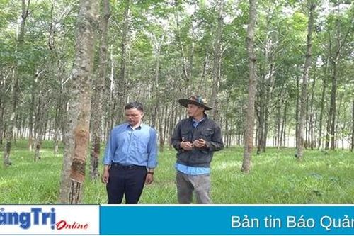 Mô hình kinh tế mẫu ở vùng khó
