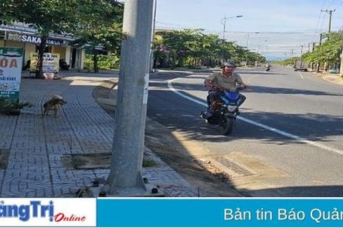Hồi âm bài: '9 vụ tai nạn giao thông trong 7 tháng do đâm vào một cột đèn chiếu sáng': UBND tỉnh Quảng Trị chỉ đạo xử lý việc báo phản ánh, hoàn thành trước 4/8/2024