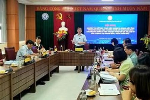Liên kết sản xuất và tiêu thụ sản phẩm có giá trị cao từ cây atiso đỏ
