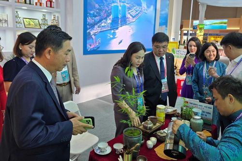 Hơn 60 doanh nghiệp Việt Nam tham gia Hội chợ Trung Quốc - Nam Á