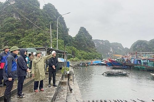 TP Hạ Long (Quảng Ninh): Chủ động ứng phó với bão số 2