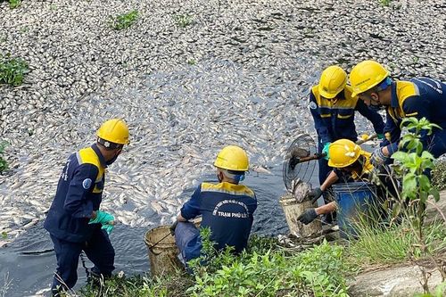Đà Nẵng: Cá chết tại hồ Hòa Phú do nước thải từ mương hở thượng nguồn bãi rác đổ về
