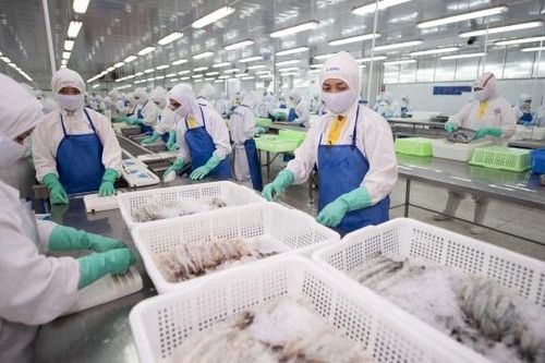 Doanh thu xuất khẩu tăng, Sao Ta tiếp đà tăng trưởng lợi nhuận quý 2