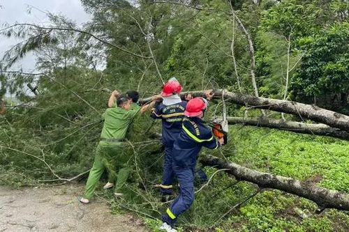 Quảng Ninh tập trung khắc phục hậu quả mưa bão