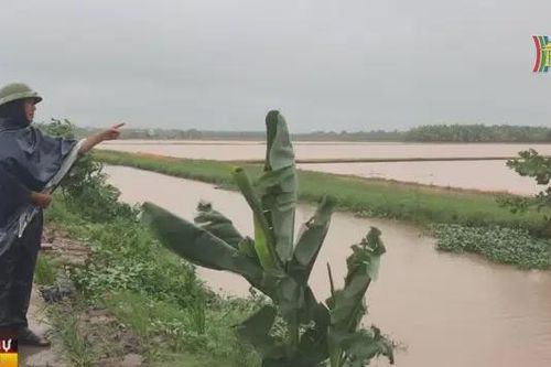 Nhiều cánh đồng ở Hải Dương bị ngập do mưa lũ