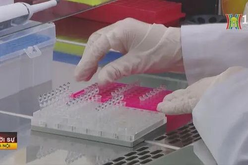 Ra mắt ngân hàng gene liệt sĩ chưa xác định thông tin