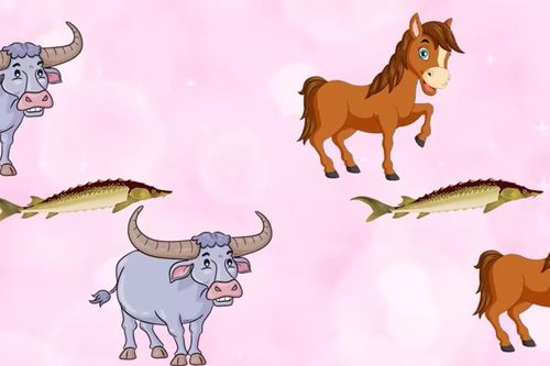 Chỉ có 5 giây, rất ít người đoán ra đây là câu thành ngữ nào