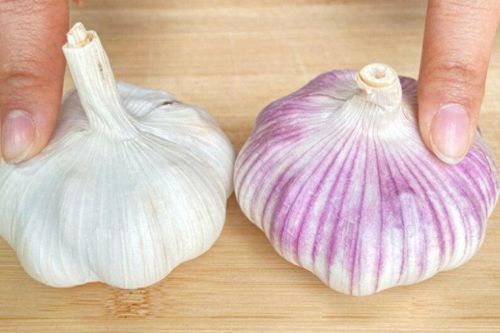 Mua tỏi nên chọn loại màu tím hay màu trắng?