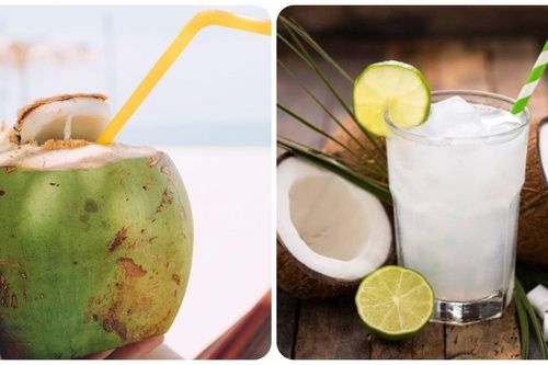 Uống nước dừa hàng ngày có tốt cho sức khỏe?