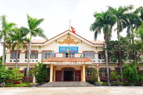 Công ty đá Hoàng Mai bị xử phạt 256 triệu đồng và đình chỉ hoạt động