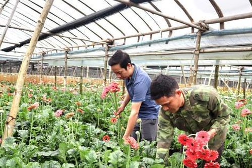 Hỗ trợ nông dân trong hành trình huyện thành quận