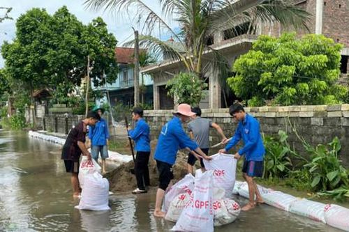 Hà Nội tăng cường kiểm tra, bảo vệ an toàn đê điều, công trình thủy lợi