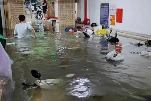Mưa lớn, hơn 60 chiếc xe bị nước nhấn chìm tại một chung cư