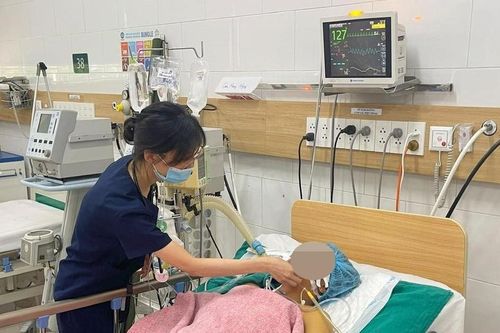 Rủi ro khi ăn côn trùng, nấm rừng