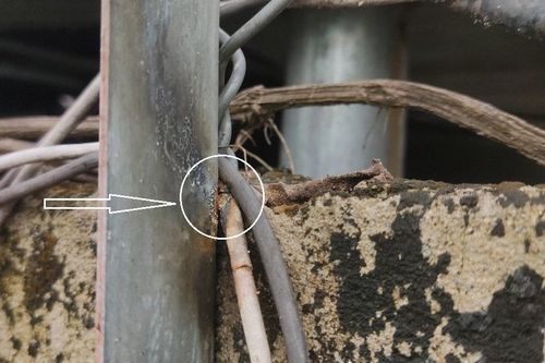 Rợn tóc gáy vì… điện!