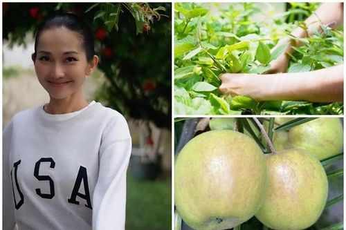 Cơ ngơi rộng rãi ngập rau trái của 'em gái Hà Tăng' tại Mỹ