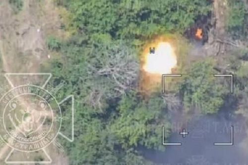 Video UAV cảm tử Nga phá hủy lựu pháo Ukraine ẩn nấp trong bụi cây