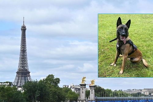 Bí mật chú chó bảo vệ an ninh cho Olympic Paris 2024