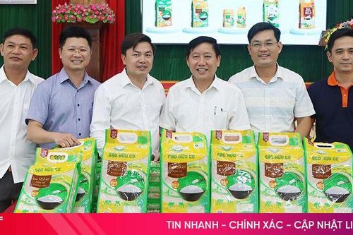 Địa phương đầu tiên ở Hà Tĩnh có sản phẩm lúa, gạo được cấp chứng nhận hữu cơ