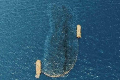 Chìm tàu chở 1,4 triệu lít dầu ở ngoài khơi Philippines, 1 thủy thủ mất tích