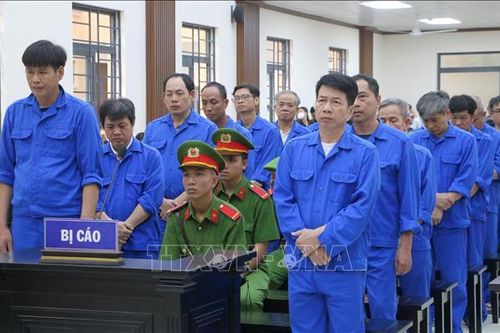 Hai cựu Phó Chủ tịch huyện Chợ Mới (An Giang) lĩnh án 22 năm tù vì 'tham ô tài sản'