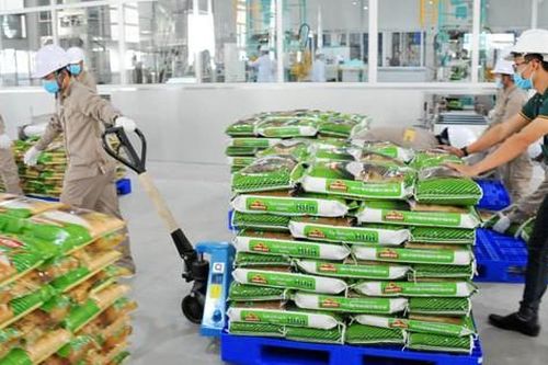 Chi phí tăng cao bào mòn lợi nhuận của Vinaseed