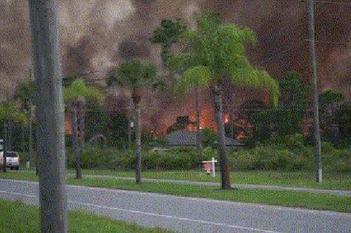 Clip: Sét đánh gây cháy rừng dữ dội ở Florida