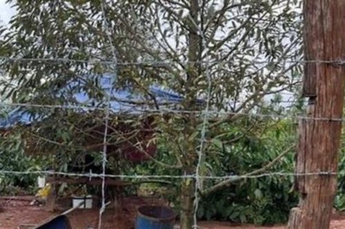 Gia Lai: Đào giếng thuê, 2 người đàn ông bị điện giật tử vong