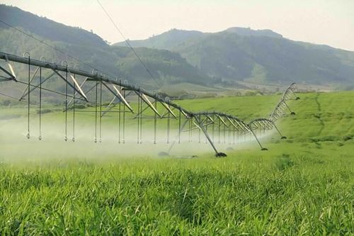 Chia sẻ kinh nghiệm của doanh nghiệp đi đầu trong nông nghiệp công nghệ cao