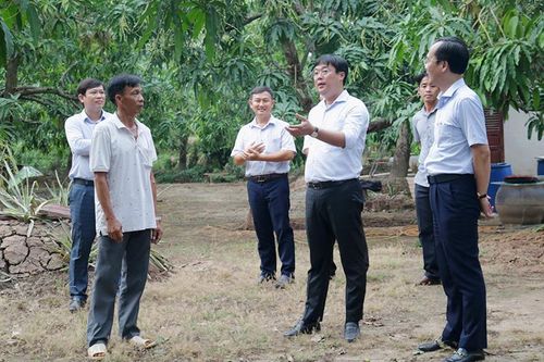 Phát huy hiệu quả kinh tế tập thể