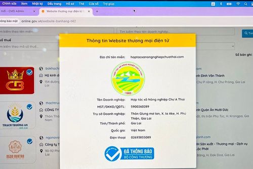 Gia Lai được xác nhận 96 website thương mại điện tử bán hàng