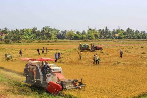 Vạn Ninh: Nỗ lực đạt chuẩn huyện nông thôn mới vào cuối năm