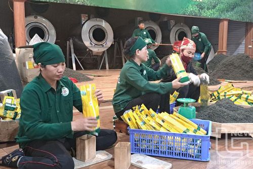 Thái Nguyên: Thành lập mới 3.412 doanh nghiệp