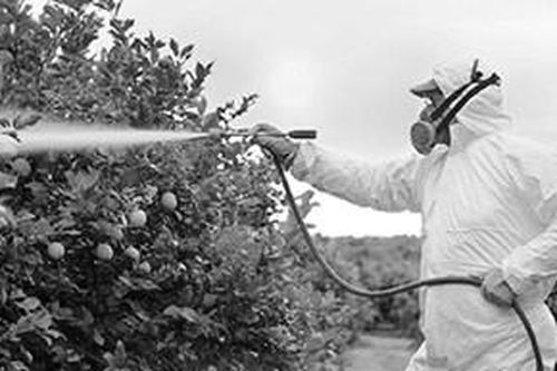 Mối đe dọa đáng lo ngại khi thuốc trừ sâu ngày càng chứa nhiều 'hóa chất vĩnh cửu'
